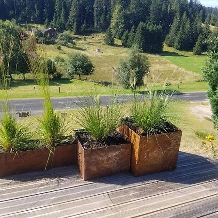 Chalet Les Vosgiennes لو فالتين المظهر الخارجي الصورة
